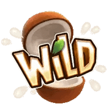 สัญลักษณ์พิเศษ Wild