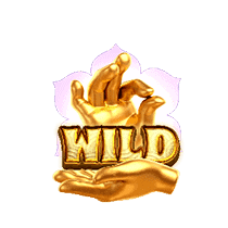 สัญลักษณ์พิเศษ wild